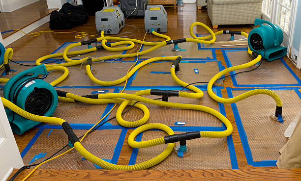 Professional Crawl Space Water Removal technician working in Moscow, ID
